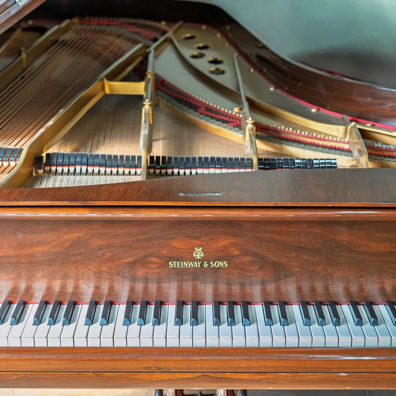 1875 steinway sons model d concert grand piano victorian art case
