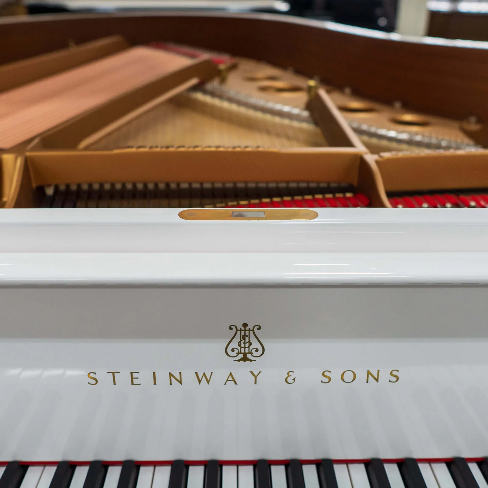 1910 steinway sons model o grand piano white polish