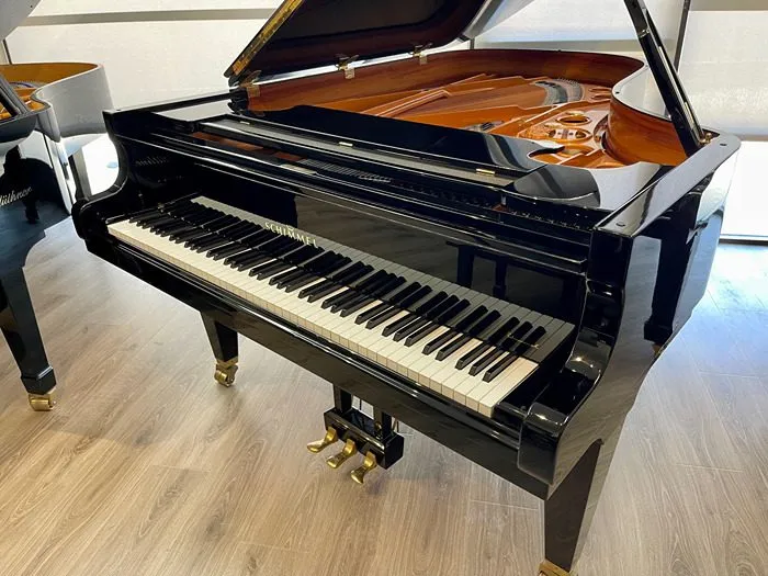 1998 schimmel 208