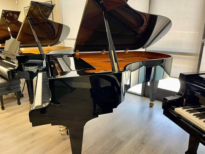 1998 schimmel 208