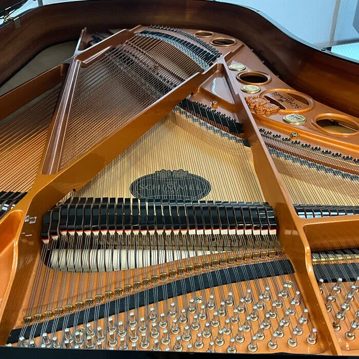 1998 schimmel 208