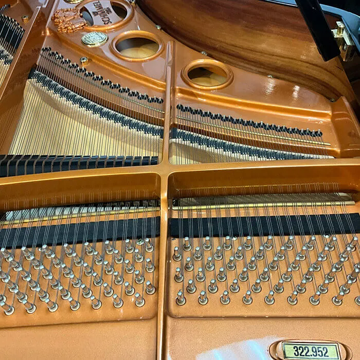 1998 schimmel 208