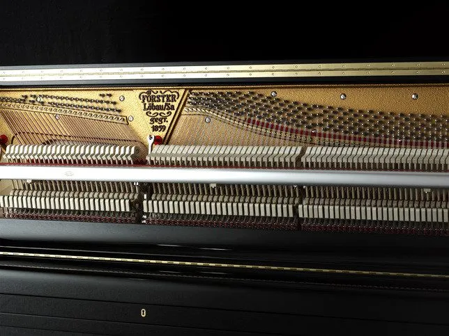 august forster 125 g