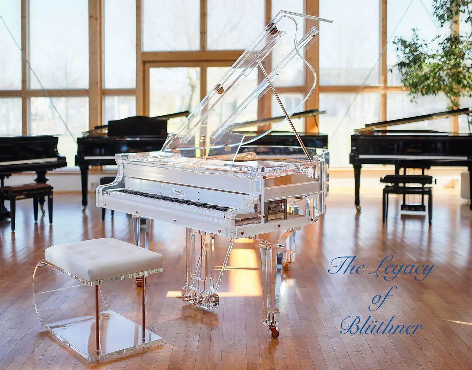 Timeless Excellence: The Blüthner Legacy