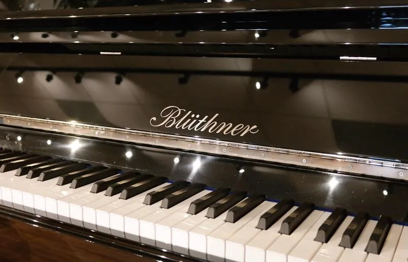 bluthner model d upright