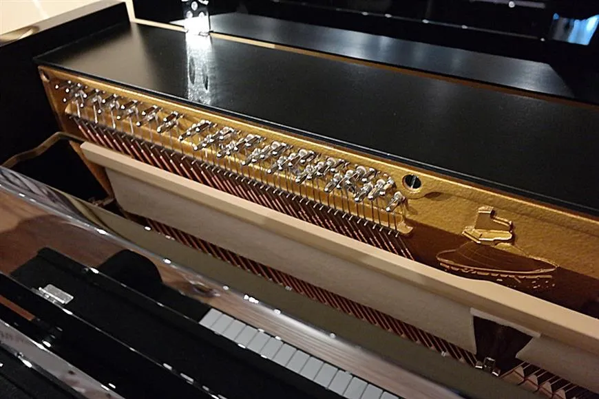 bluthner model d upright