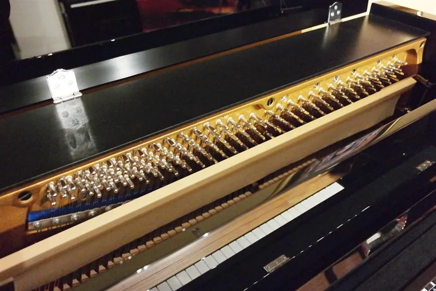bluthner model d upright