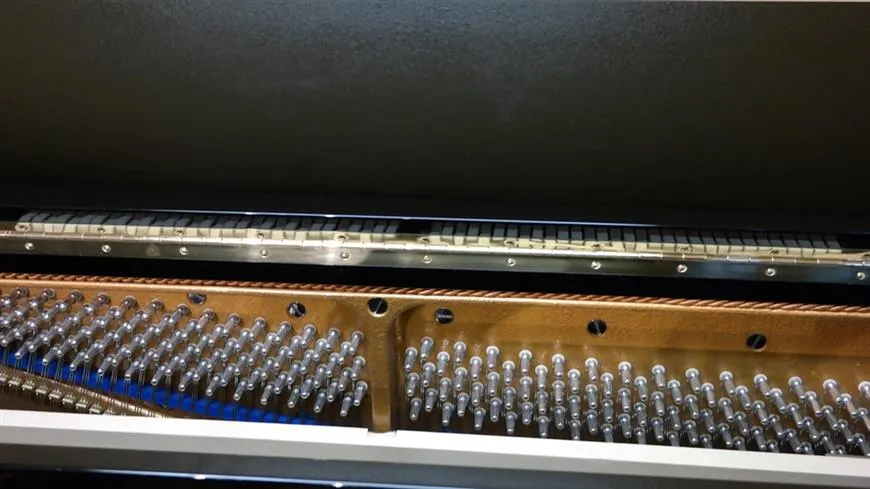 bluthner model s upright