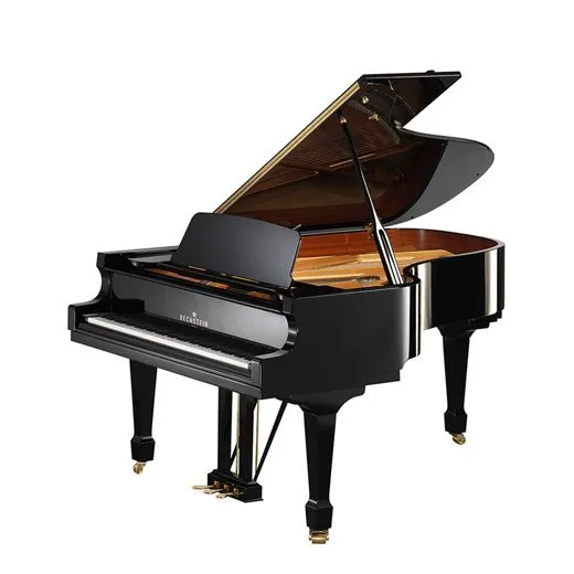 C. Bechstein Academy A 208