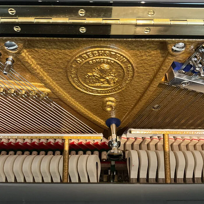 c bechstein concert 6