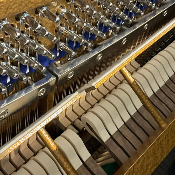 c bechstein concert 6