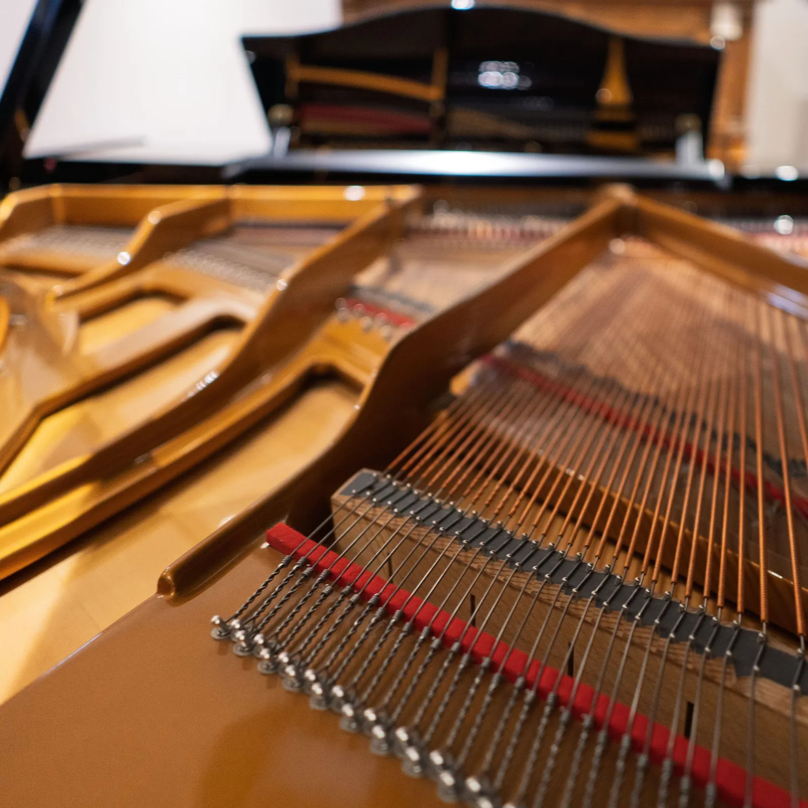 haessler by bluthner 186 grand piano ebony polish