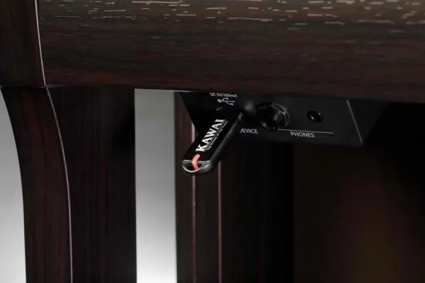kawai ca 501