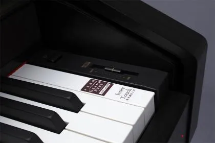 kawai cn 201