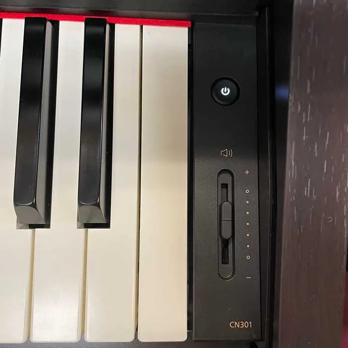 kawai cn 301