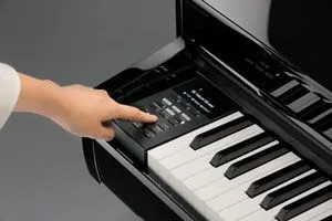 kawai dg 30