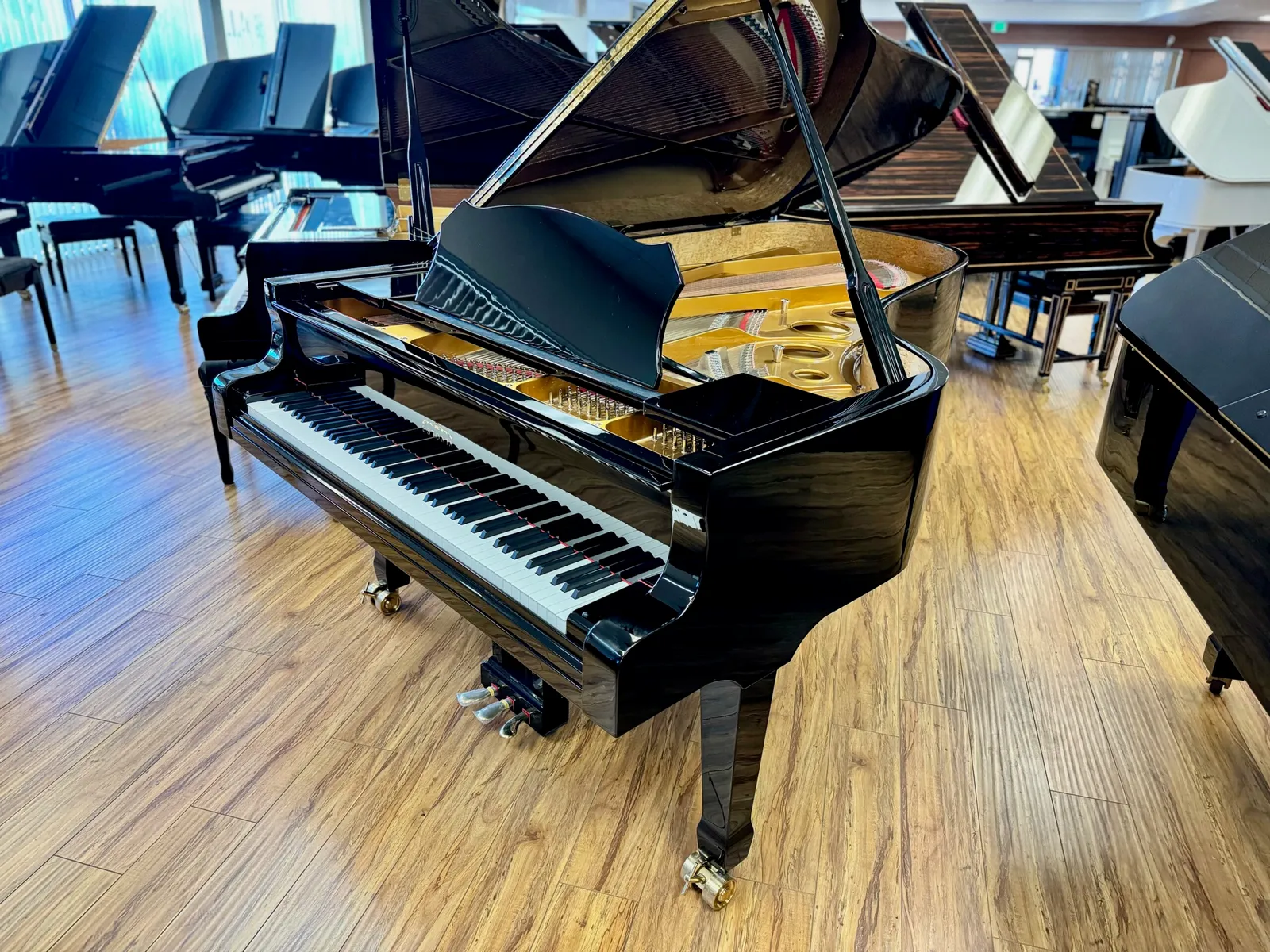 new estonia model l225 grand piano ebony polish