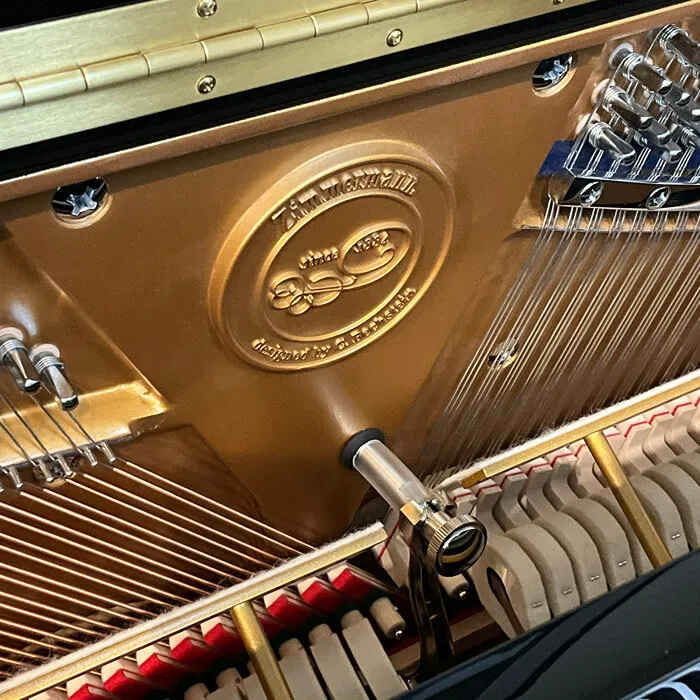 new zimmermann s8