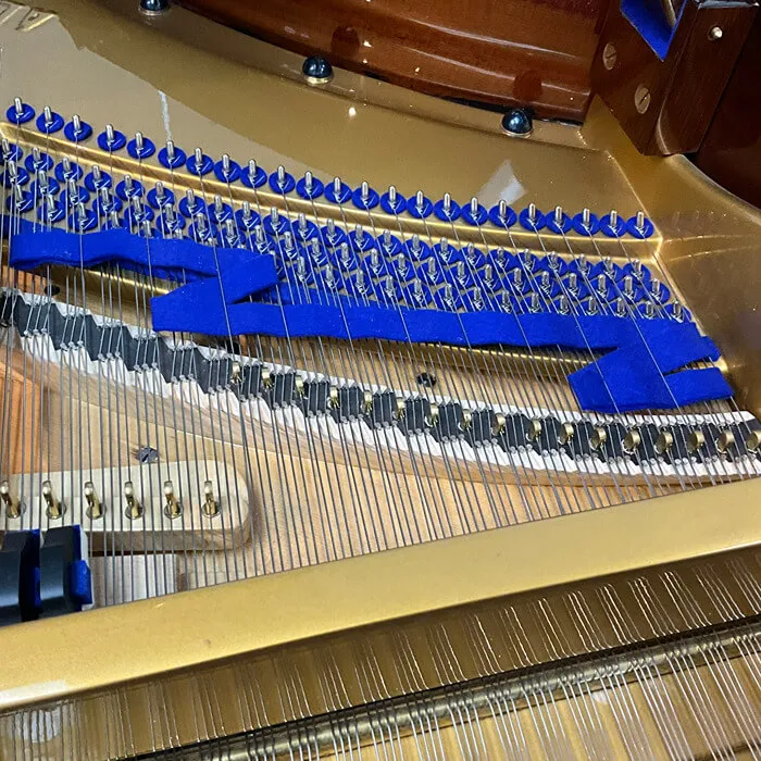 restored bluthner model 6