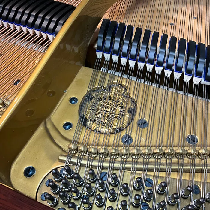 restored bluthner model 6