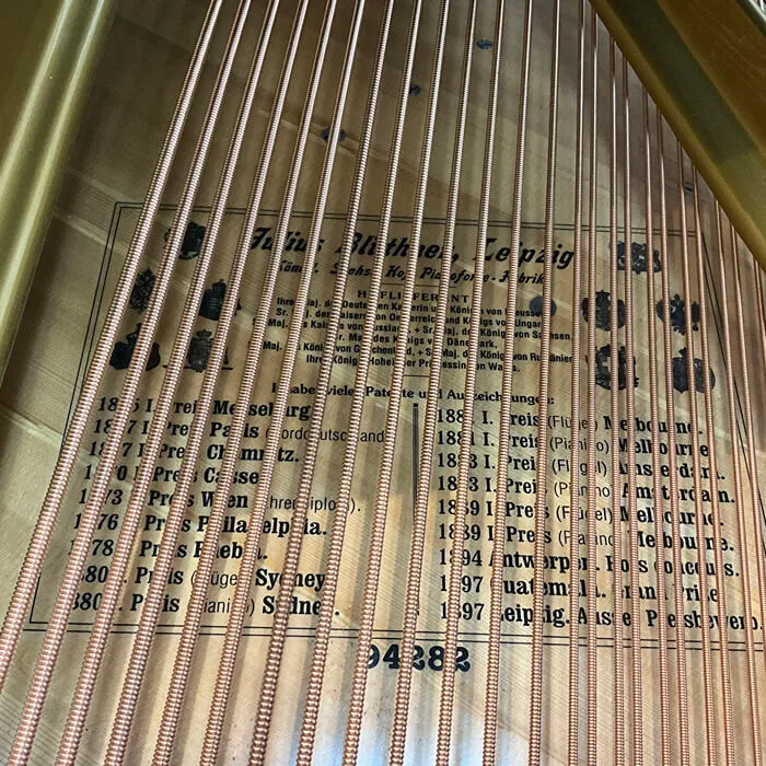 restored bluthner model 6
