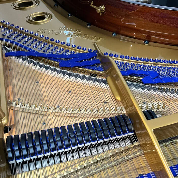 restored bluthner model 6