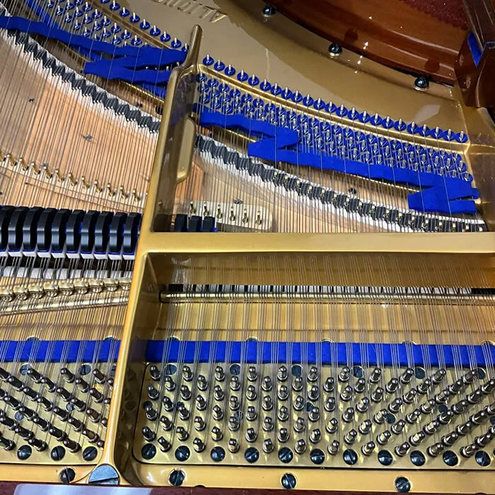 restored bluthner model 6
