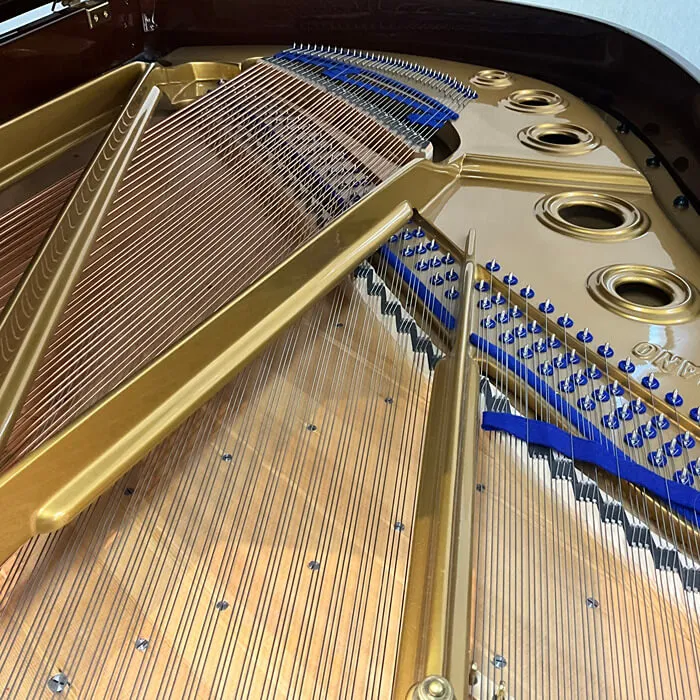 restored bluthner model 6