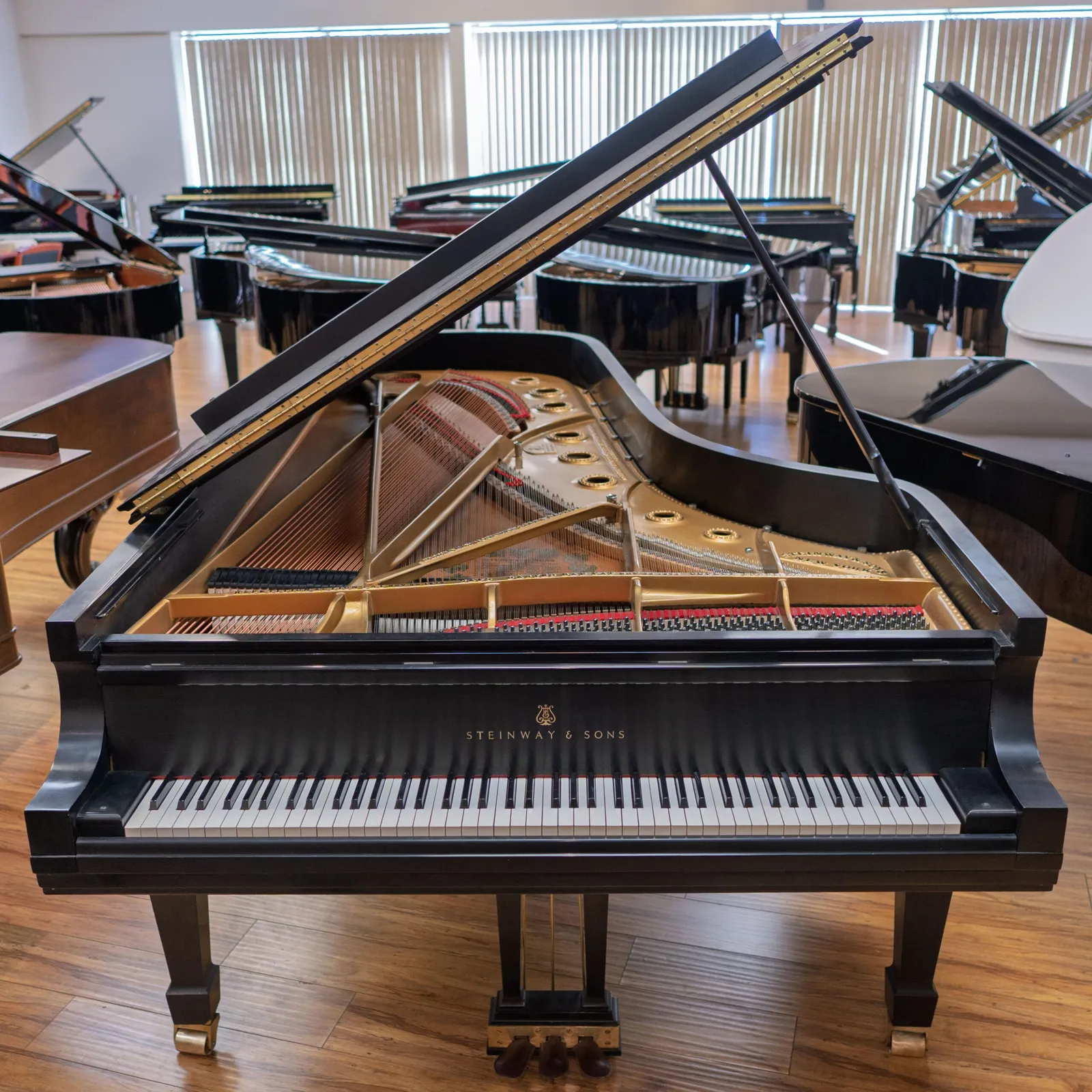 steinway sons model d concert grand piano ebony satin