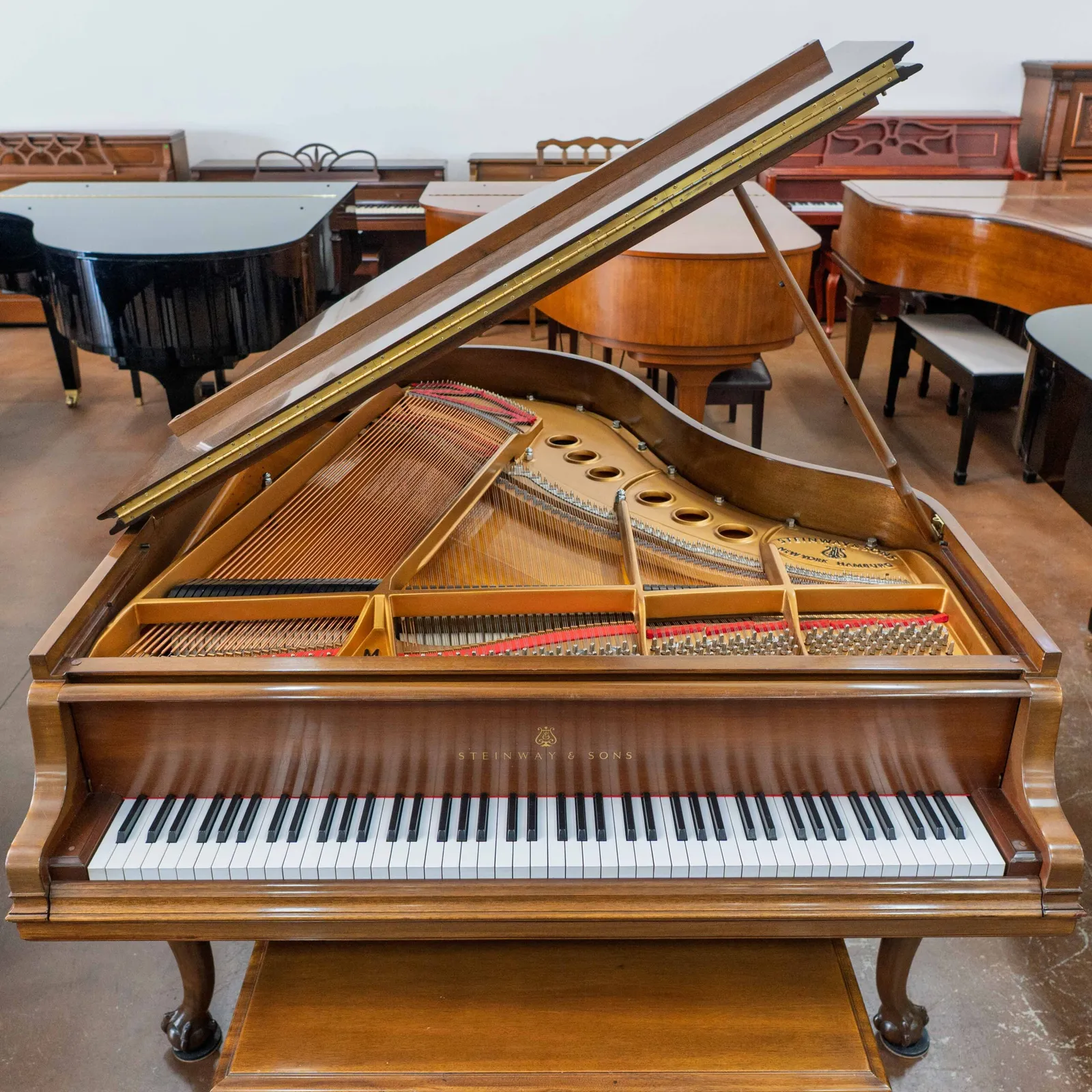 steinway sons model m grand piano chippendale design walnut satin finish