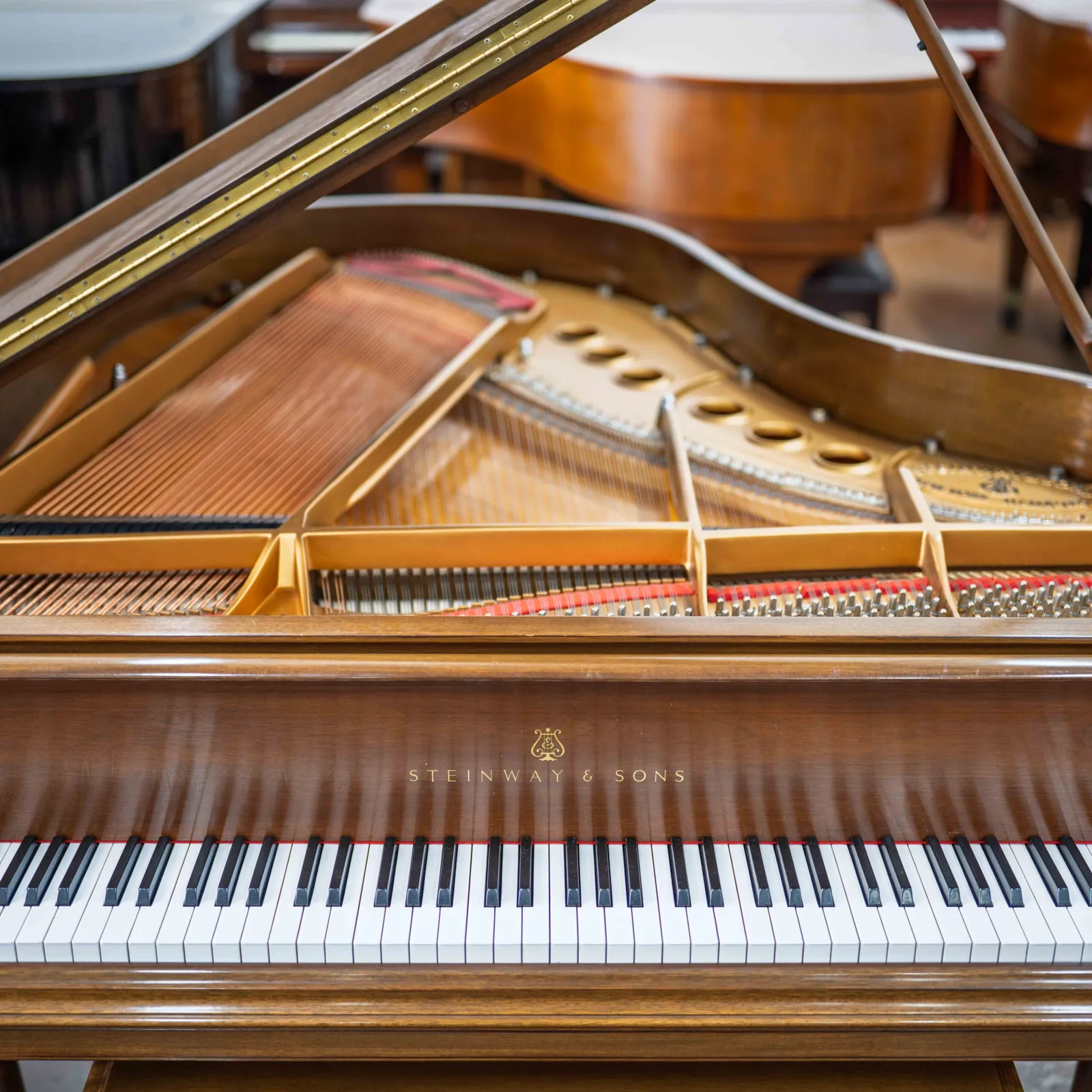 steinway sons model m grand piano chippendale design walnut satin finish