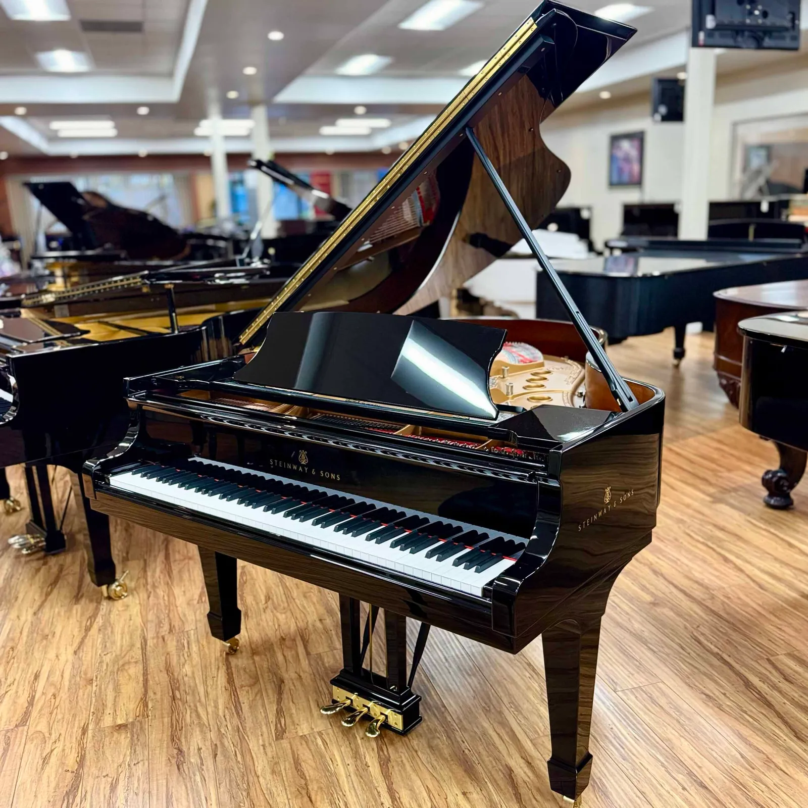 steinway sons model m grand piano ebony polish