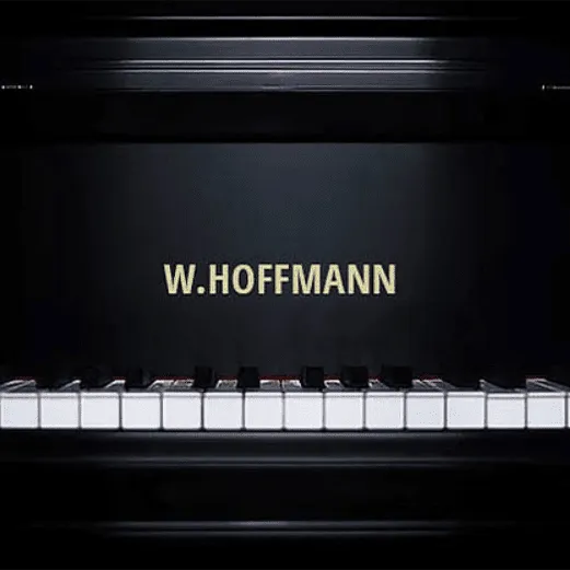 w hoffmann tradition t161