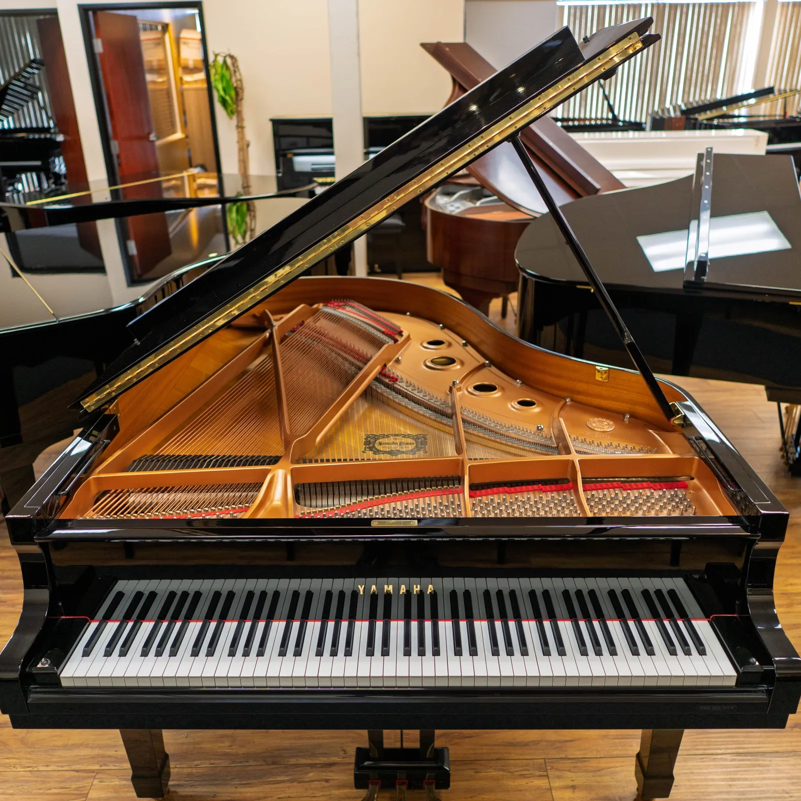 yamaha c series c3 grand piano ebony polish