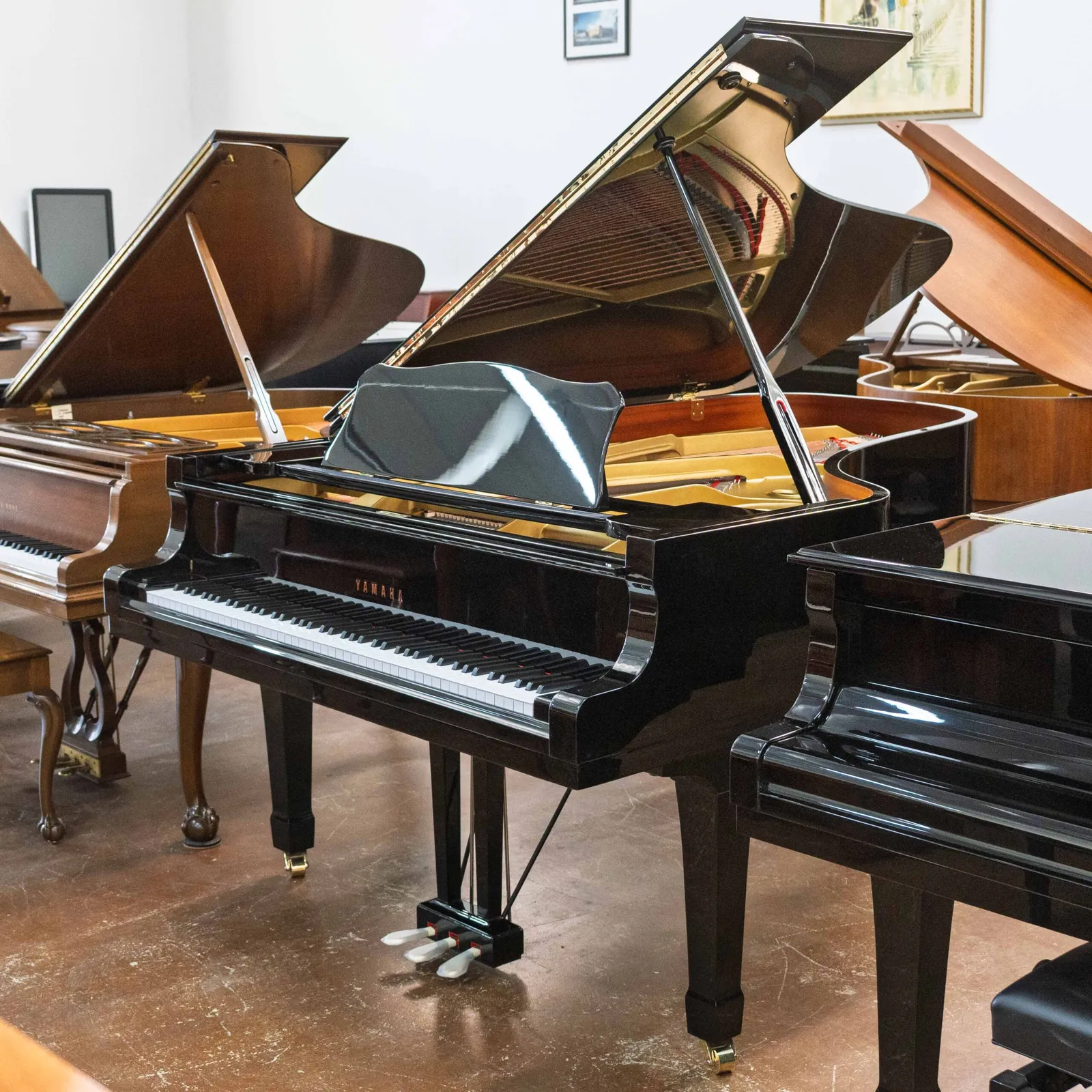 yamaha c7 conservatory grand piano black polish