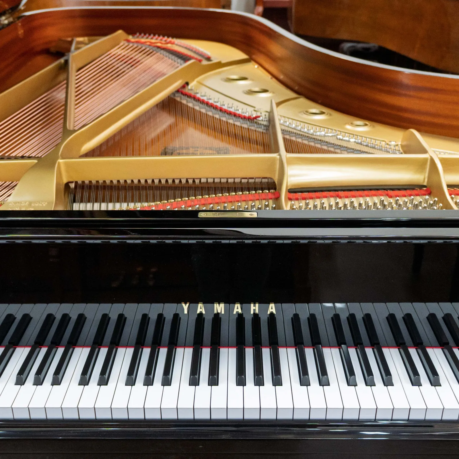 yamaha c7 conservatory grand piano black polish