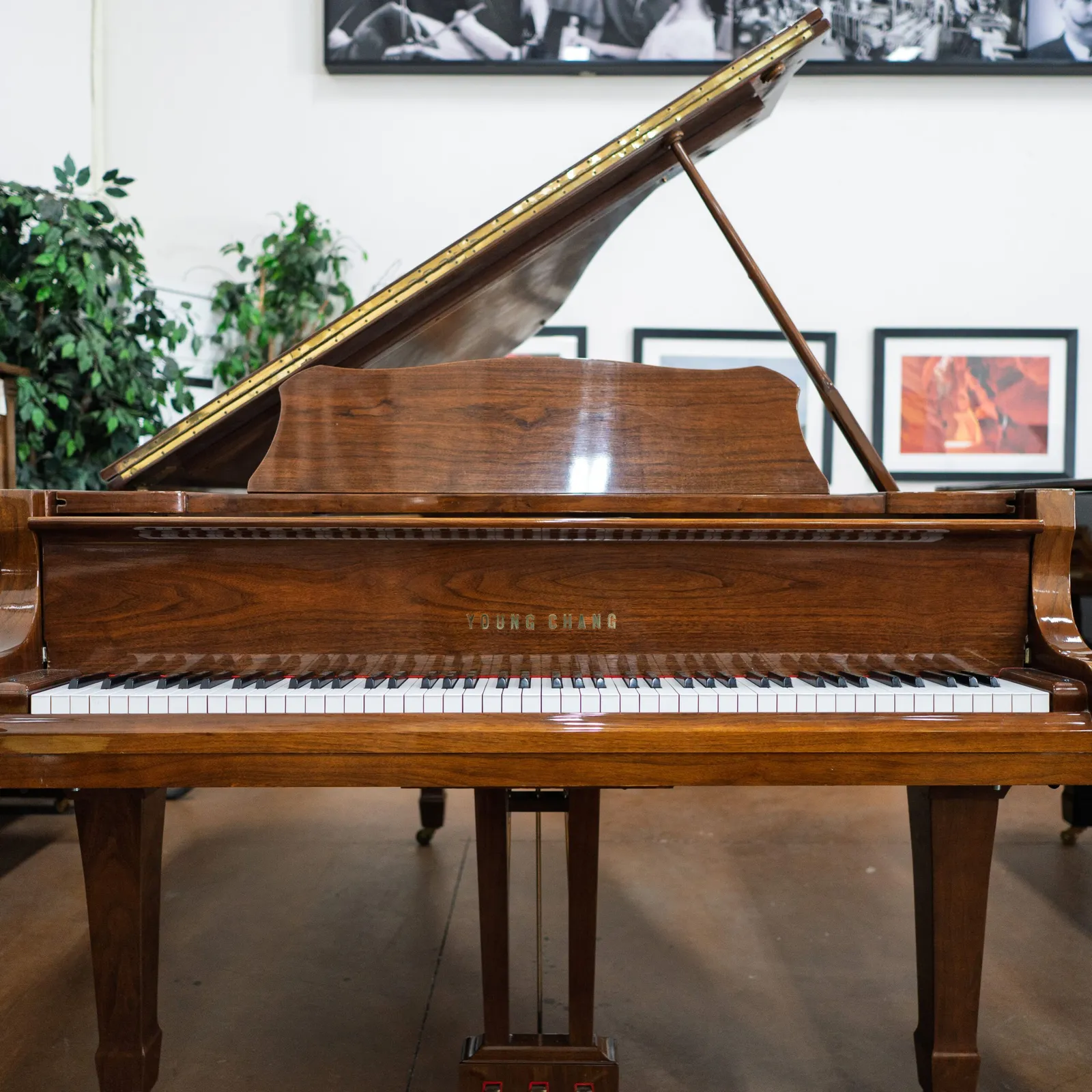 young chang g 185 grand piano walnut polish