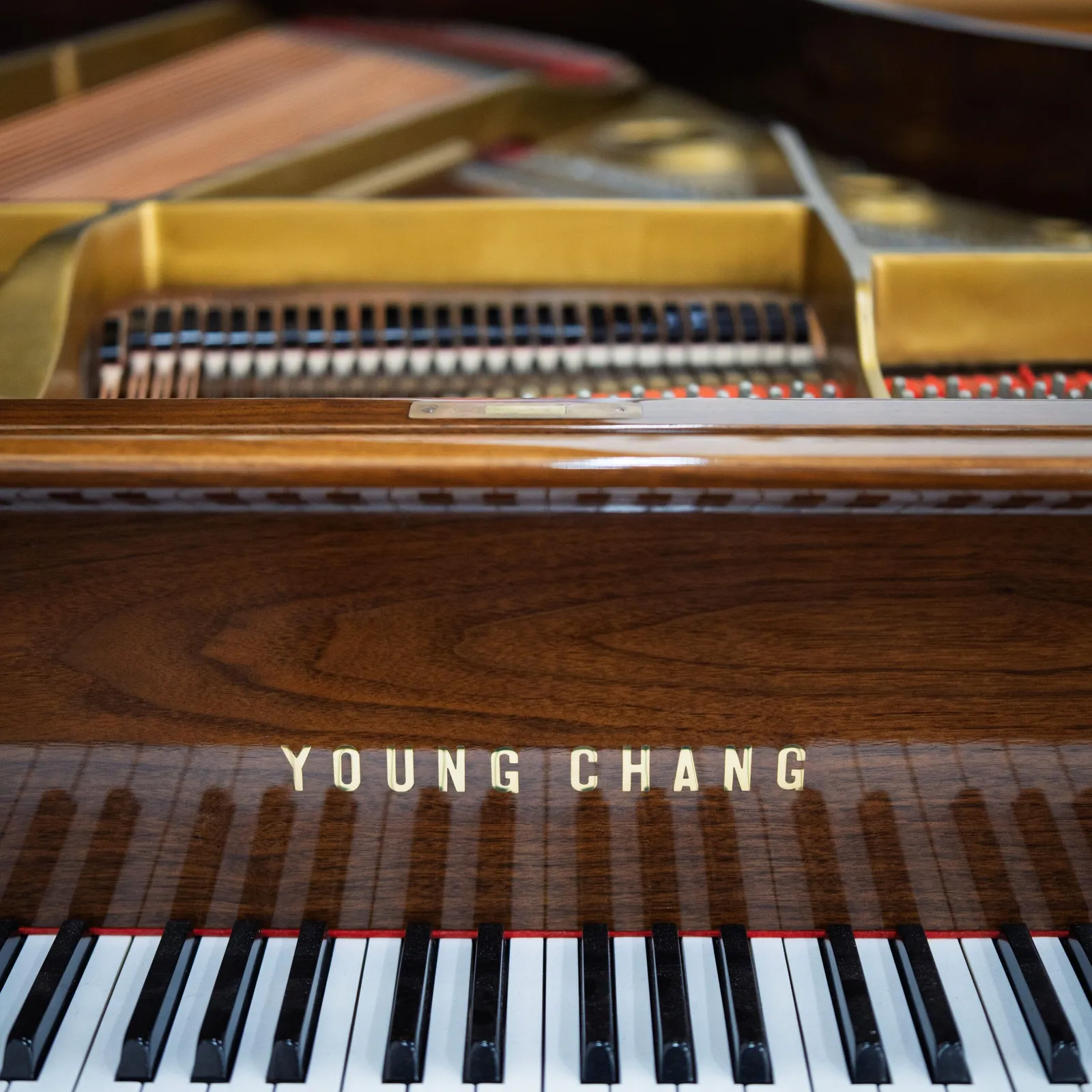 young chang g 185 grand piano walnut polish