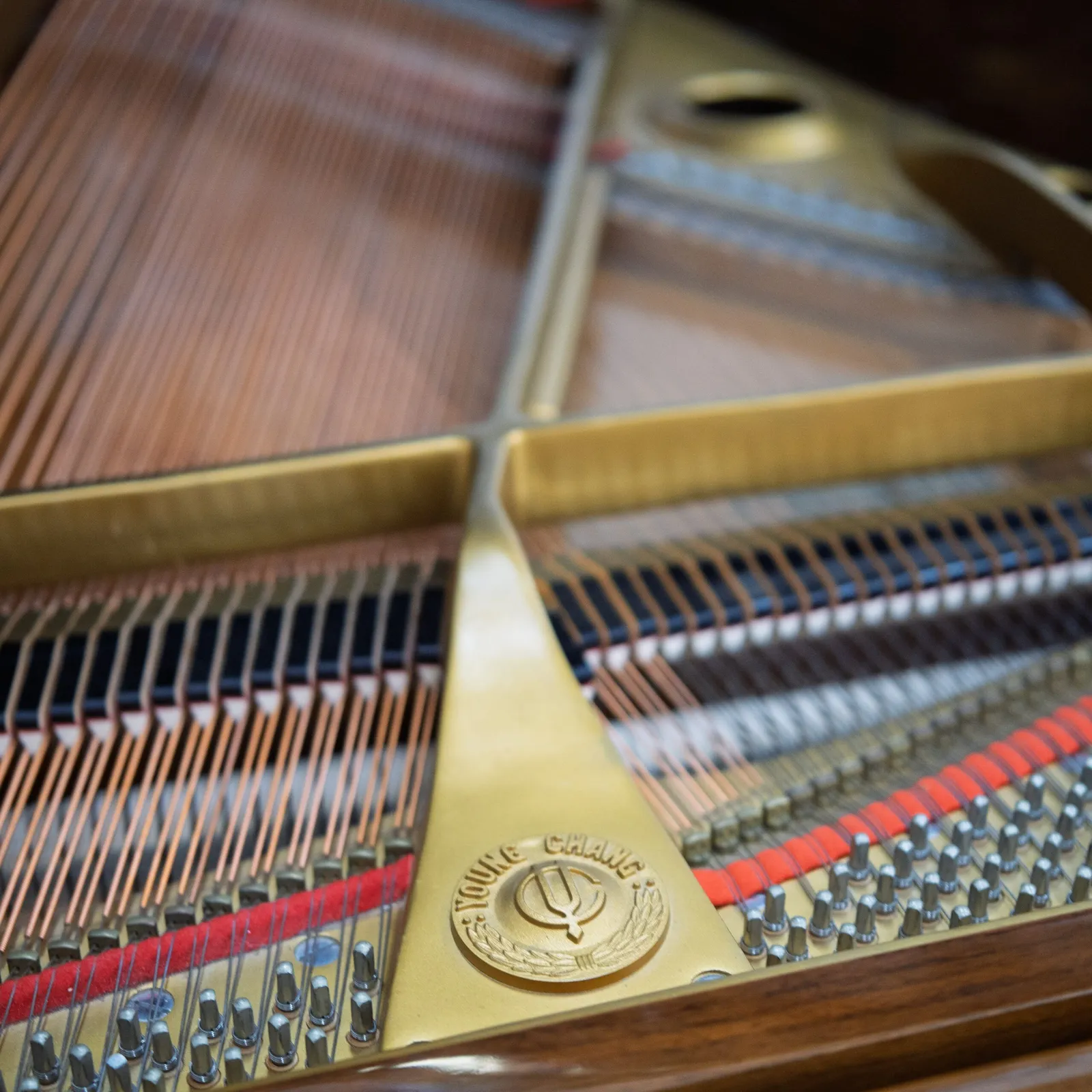young chang g 185 grand piano walnut polish